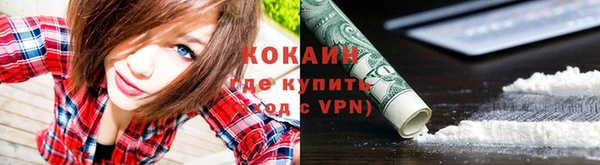не бодяженный Дмитров
