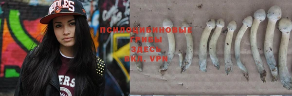 хмурый Елабуга