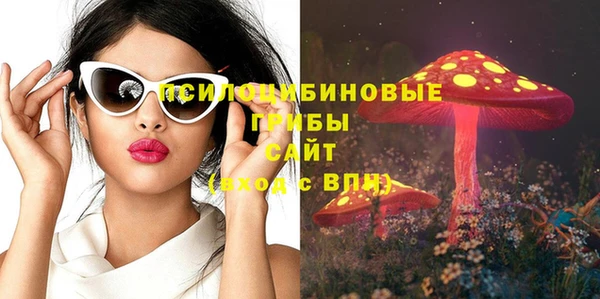 экстази Дмитриев