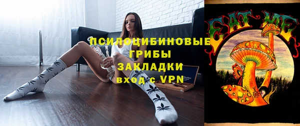 не бодяженный Дмитров