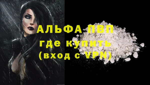 экстази Дмитриев