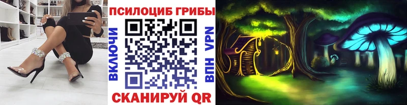 Купить  Старая Русса  Псилоцибиновые грибы Magic Shrooms 